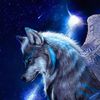 dangerwolf995