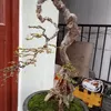 thuanvannhan