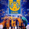 tigres_gi4