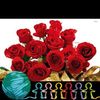 wruhayah.mahmood