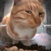 man_hakim05