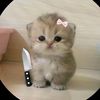 kimtaehyungqueen13