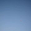 sea___53
