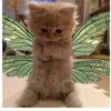 iluvcatsalsoiluvmytwin