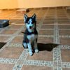 antonio.resendiz96