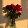 saad_khan005