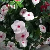 m.gu1019