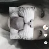 _n0.m0r3.14