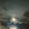 ca_12784