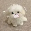 dapxechaypho1