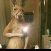 yahel.trejo