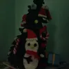 minh.hiu2996