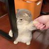 kchizo_o