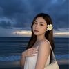 zeaa_2904