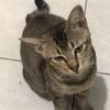 mharnnnyy