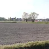 mohammad.aaa5