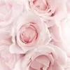 sarahnoums8