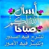 user8449530032275