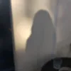 la_lea5