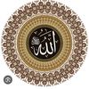 aslihan_gokce_goksu
