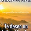 7d8d8d8d8ff