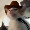 mai_anh3003