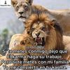 helenrodriguez532
