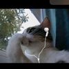 cocalate4