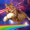 nyancat4lifeee