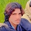 rizwan.rizwan158