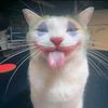sopowee_e