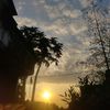 xyput_ciput