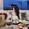 Chu