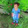 sardarhussain1134