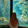 dyaxz_1