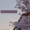 user5617155417960