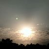 sujitcdy77