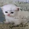 xdxdxddddxxx0_o