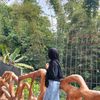 najah_ajaa