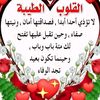 user907573447657