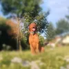 lucka_and_my_dog