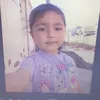 dya_dlshad