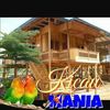 andi.iwan223