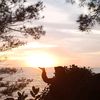 irma.rahayu78