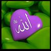 zareen372