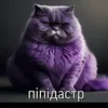 itz_sentoha