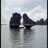 trung.le.thanh0