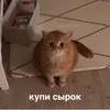 kupi_syrok3