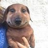slogozero