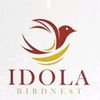 idola_bird_nest